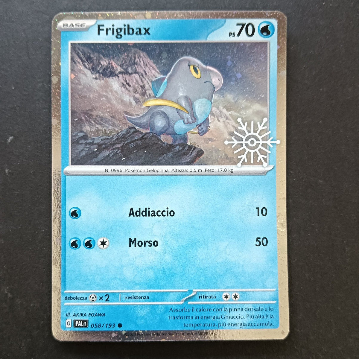 Collezione Calendario dell' Avvento 2024 - Pokémon in Italiano