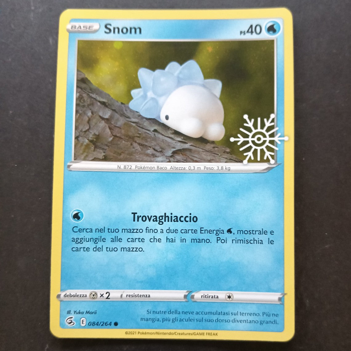 Collezione Calendario dell' Avvento 2023 - Pokémon in Italiano