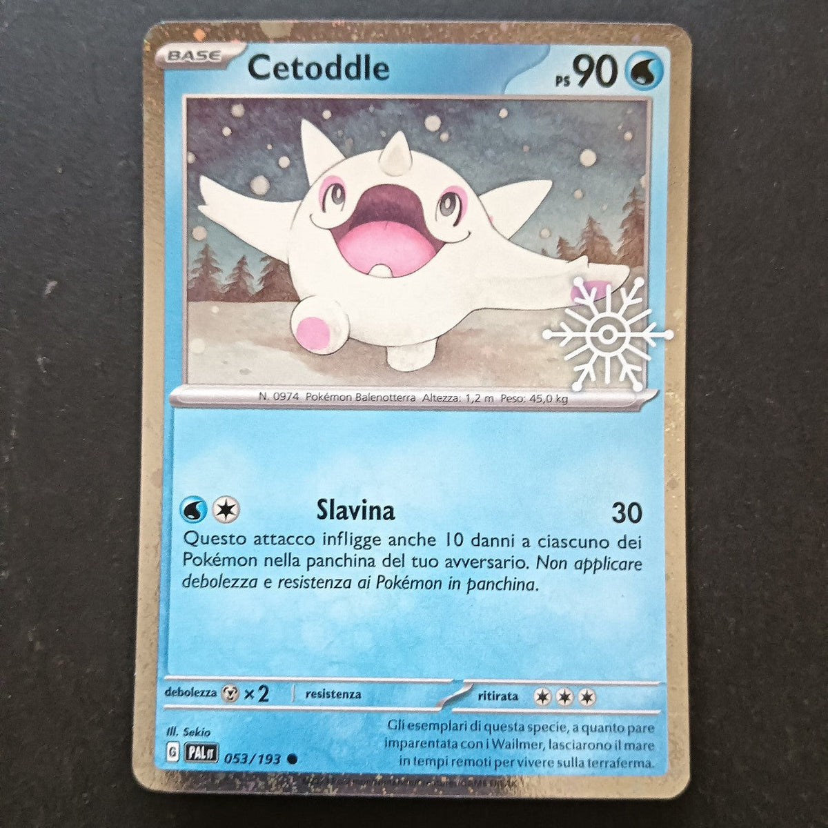 Collezione Calendario dell' Avvento 2024 - Pokémon in Italiano