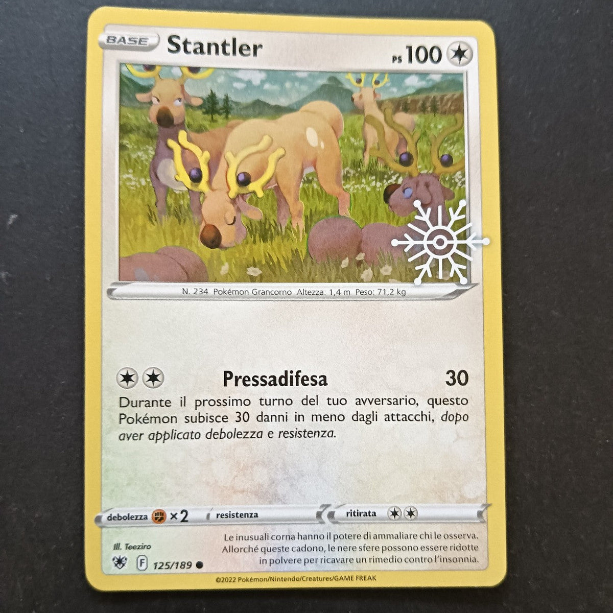 Collezione Calendario dell' Avvento 2023 - Pokémon in Italiano